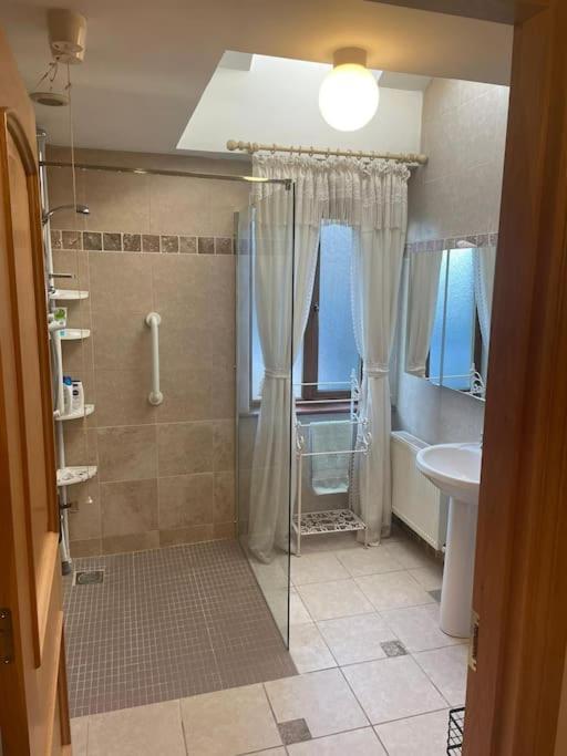 Borodino Studio Apartment Enniscorthy Εξωτερικό φωτογραφία
