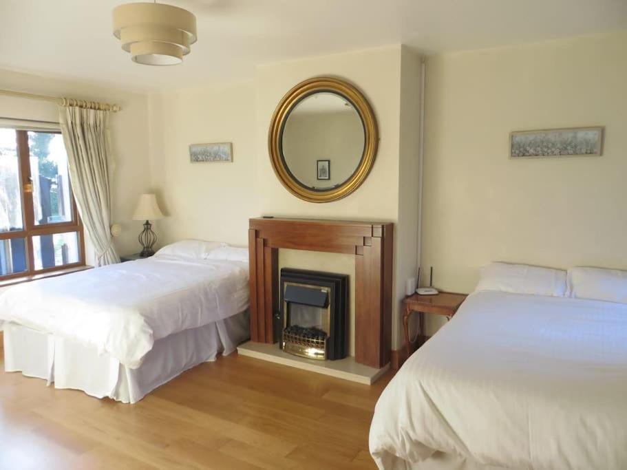 Borodino Studio Apartment Enniscorthy Εξωτερικό φωτογραφία